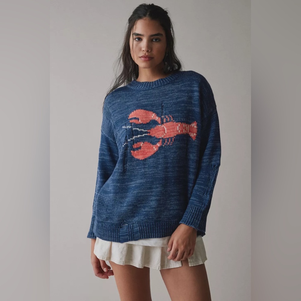 BDG Kurt Lobster Graphic Distressed Sweater. Navy Knit Sweater oversized.